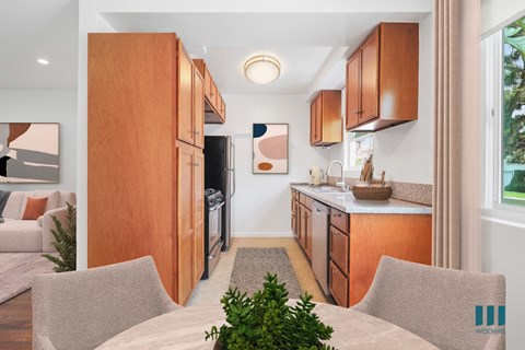 A kitchen with wooden cabinets and a countertop with a plant on it.