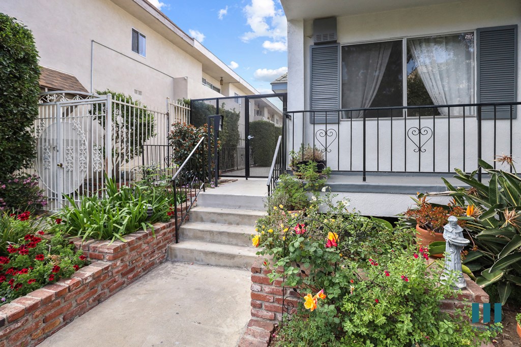 Front Steps of Kiowa Olive