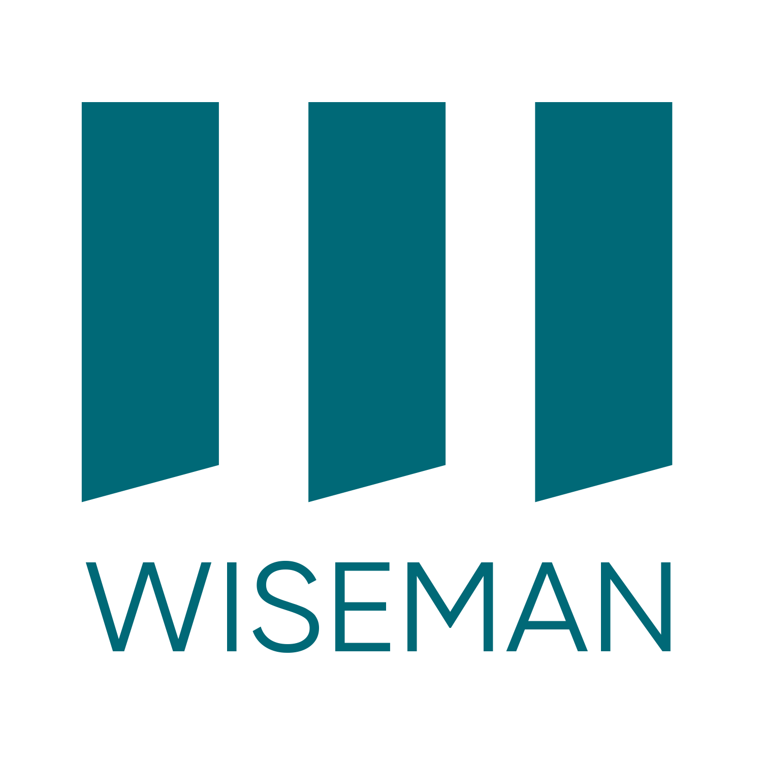 Three blue bars with the word WISEMAN below them.