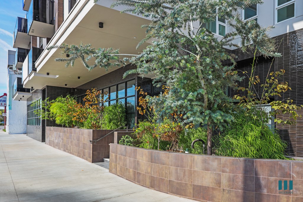 A modern building with a concrete wall and a tree in front.