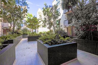 Courtyard Area of Santa Monica Federal by Wiseman