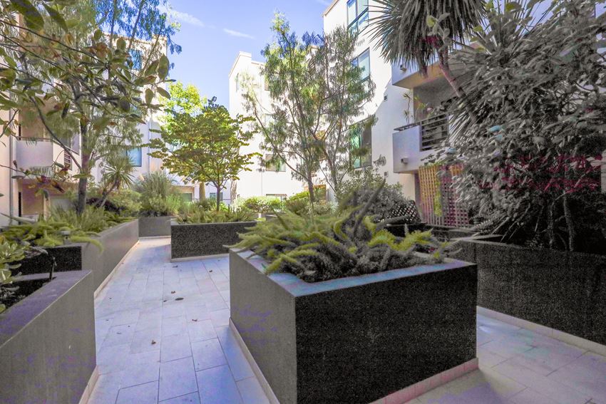 Courtyard Area of Lower Level Courtyard Area of Santa Monica Federal by Wiseman - Photo Gallery