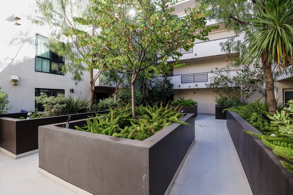 Courtyard Space of Santa Monica Federal by Wiseman
