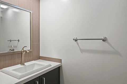 Bathroom with Vanity Cabinet Storage