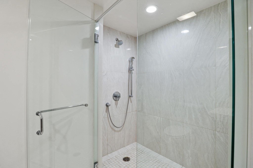 Master Bathroom Walk-In Shower