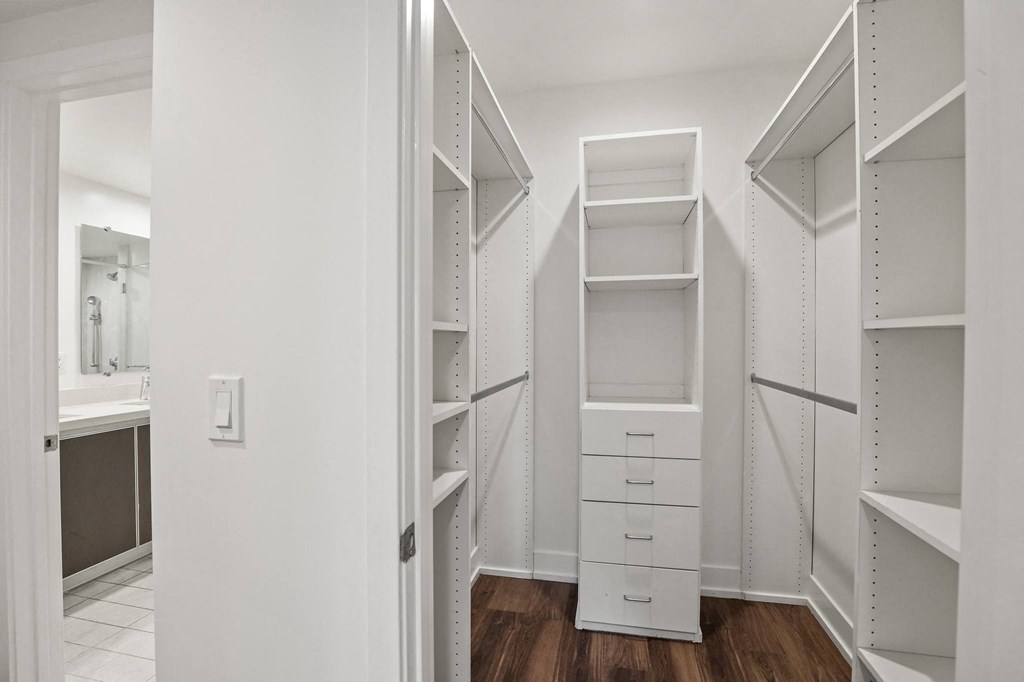 Master Bedroom Walk-In Closet with Built-In Organizers