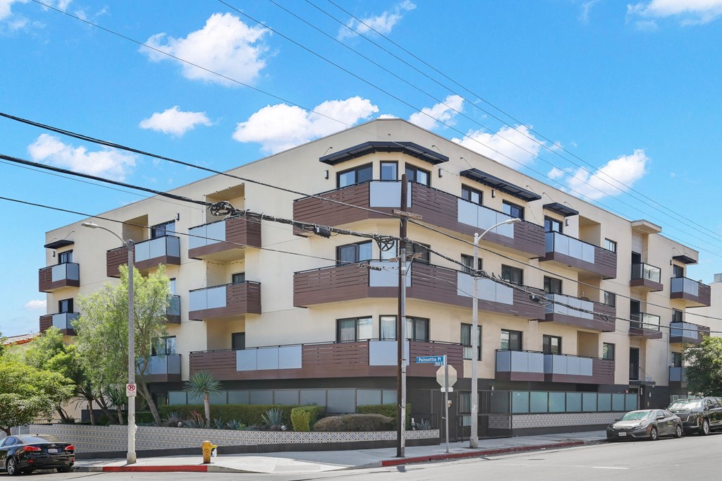 Hawthorn at Poinsettia by Wiseman