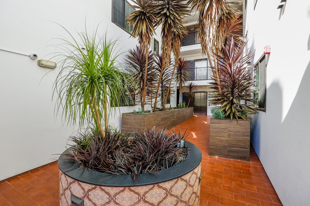 Plants in the Courtyard Area of Kelton Alexander