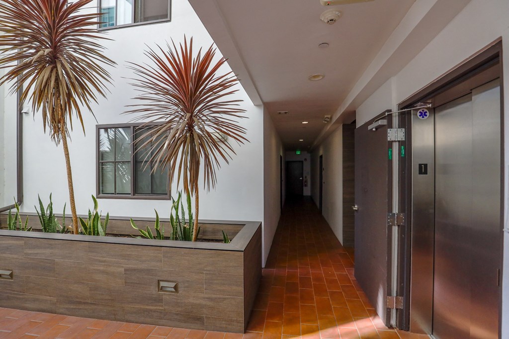 Elevator of Kelton Alexander by Wiseman