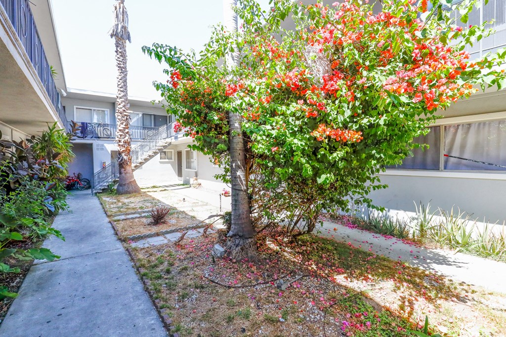 Courtyard of Iowa at Federal by Wiseman