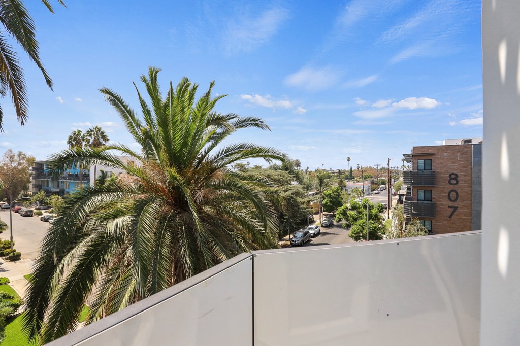 Patio View from Waring Hudson