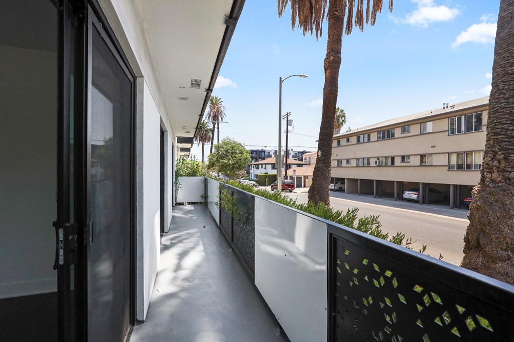 Street View from Patio