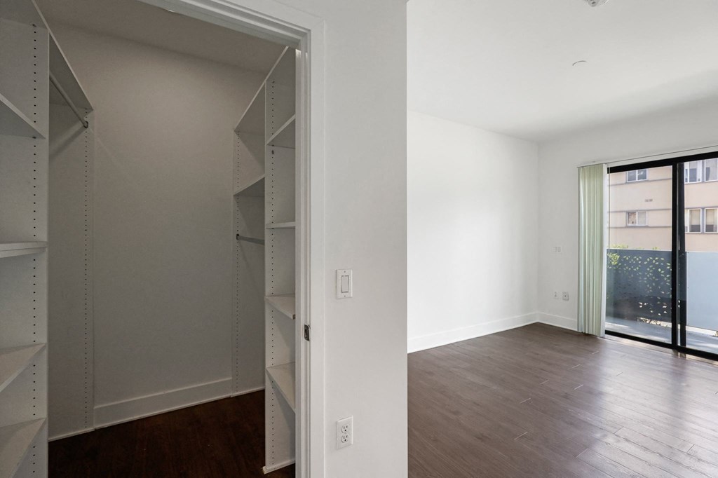 Bedroom with Walk-In Closet