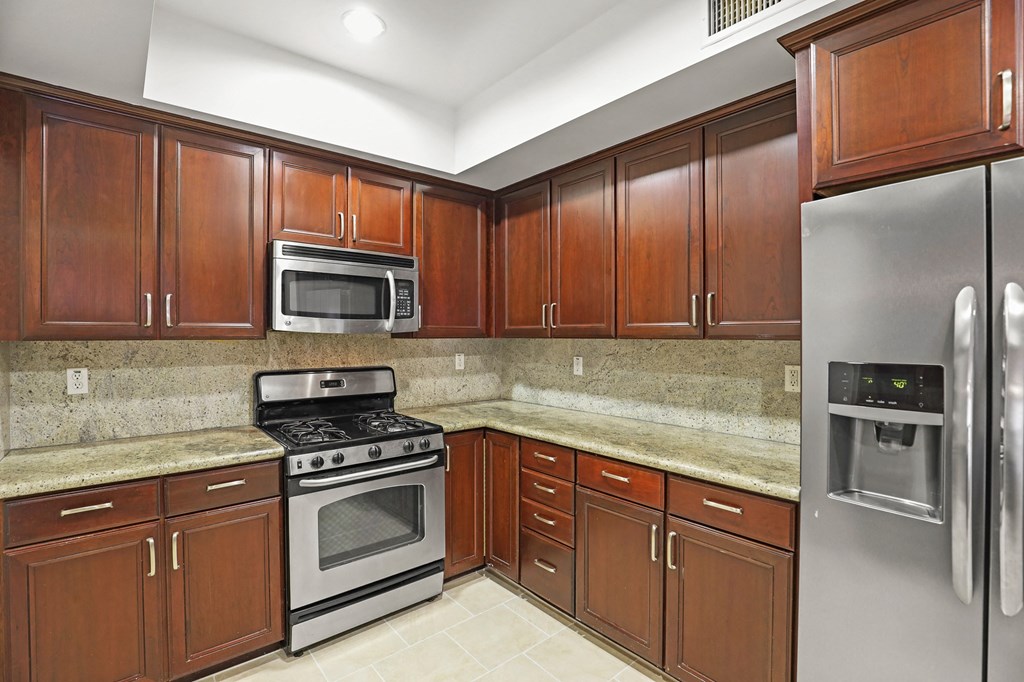 Kitchens with Energy-Efficient Stainless Appliances