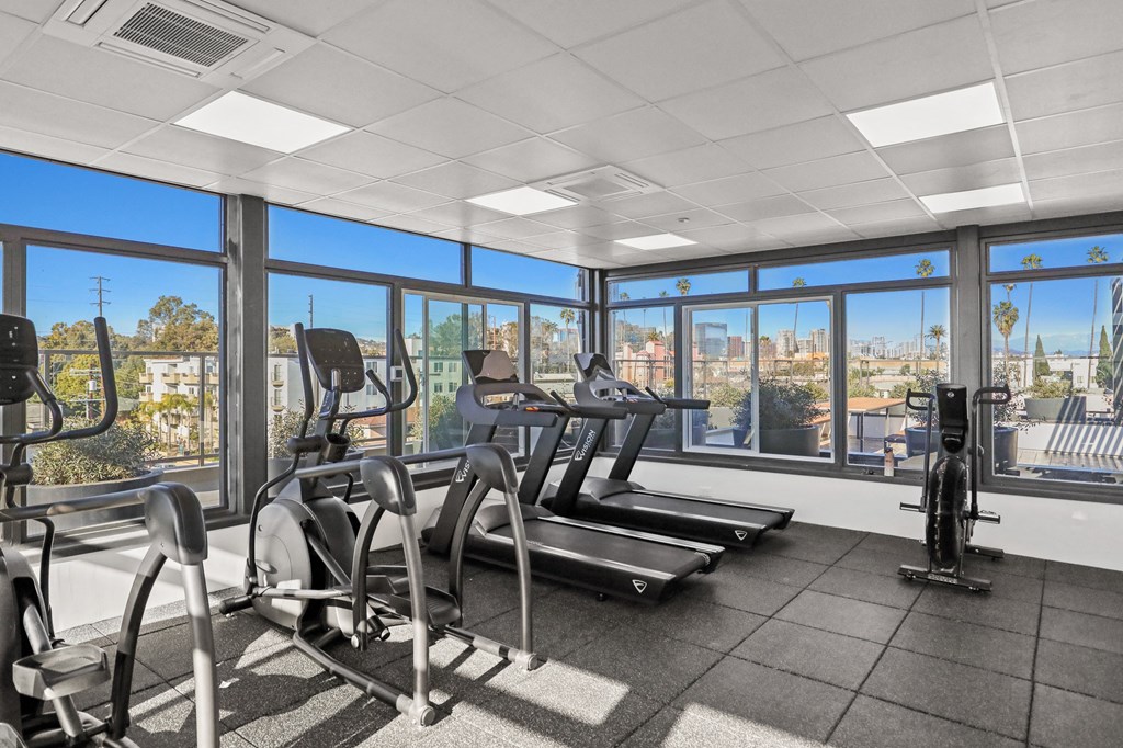 Fitness Center Including Treadmills, Ellipticals, Stationary Bikes, and Rooftop Views of the City