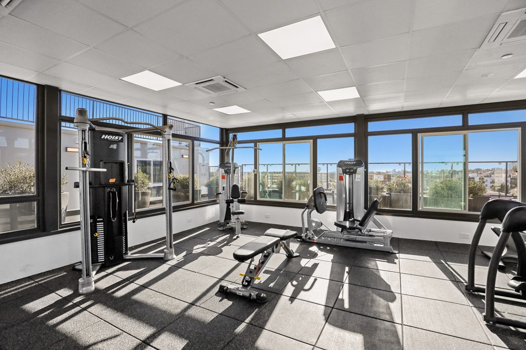 Rooftop Gym with Views of the City