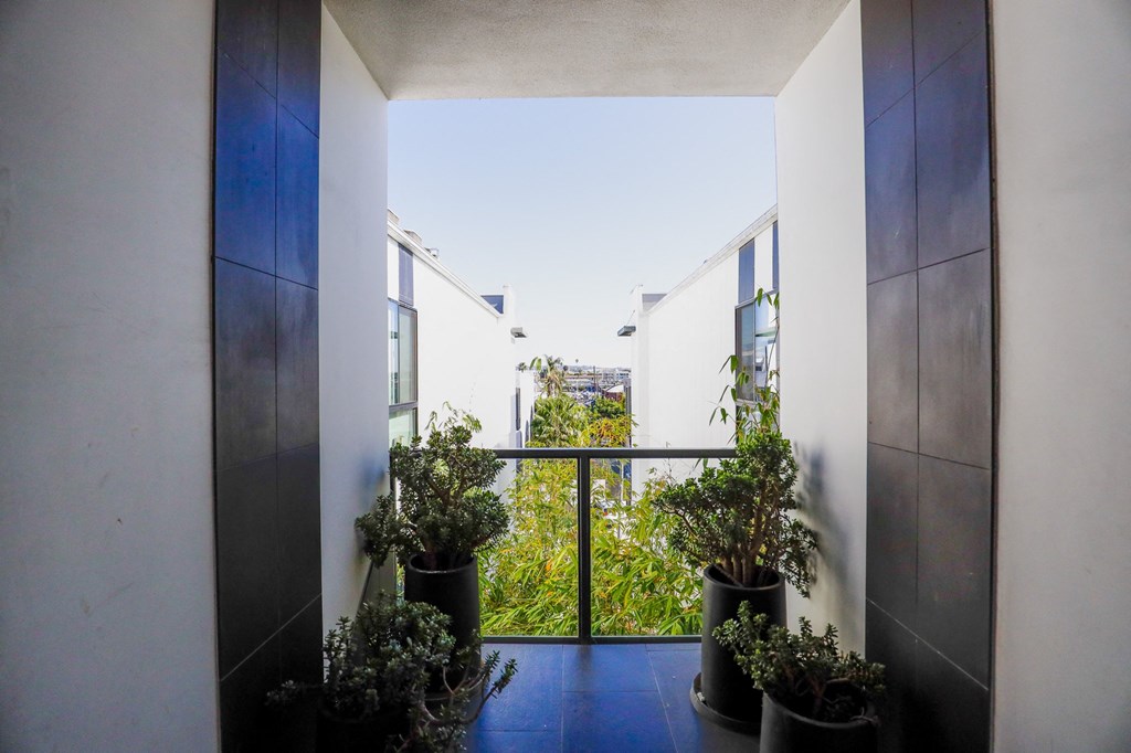 Interior Courtyard of Cole Grove by Wiseman