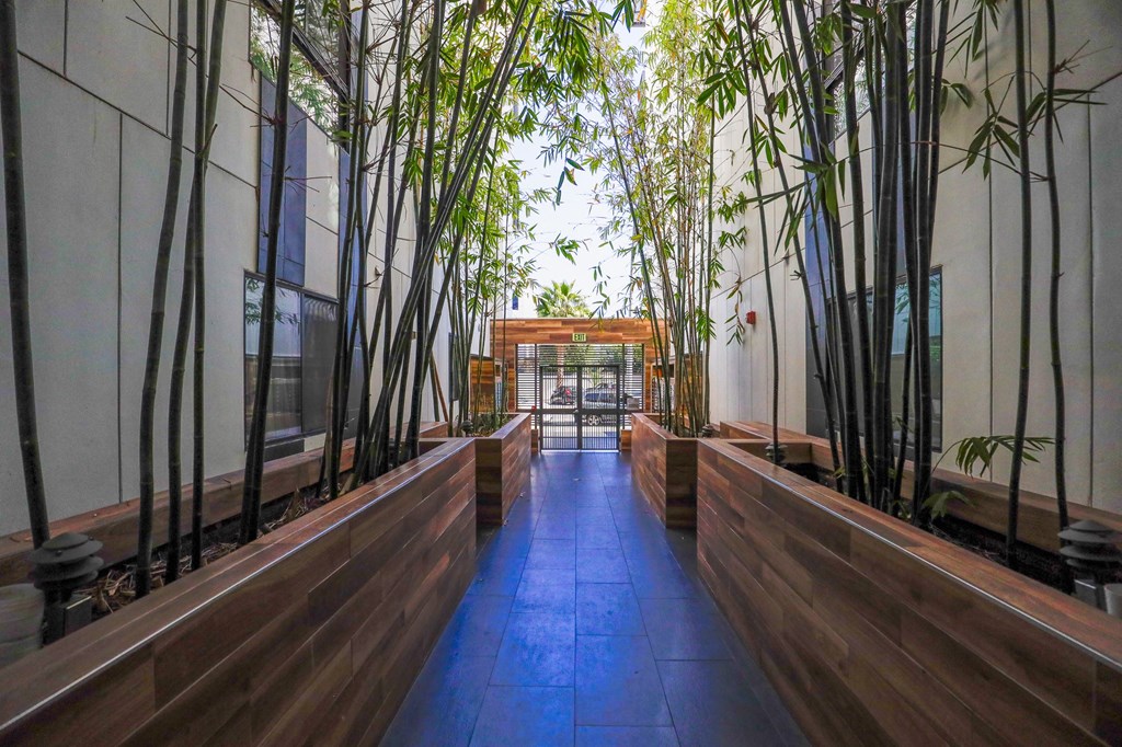 Cole Grove Interior Lobby Courtyard