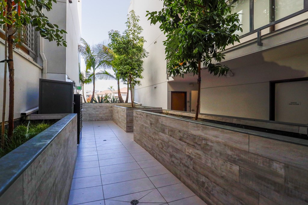 Lower Level of the Interior Courtyard Space