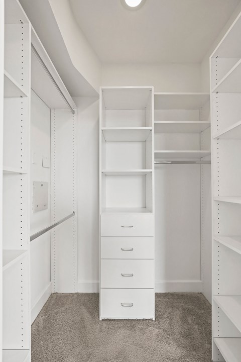 West LA apartment with a Walk-In Closet with Built-In Organizers