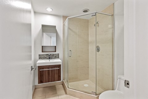 Full-Size Bathroom with Stand-Up Shower