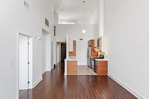 Open-Concept Kitchen, Dining, and Living Spaces