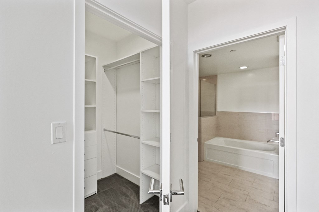 Walk-In Closet with Built-In Organizers