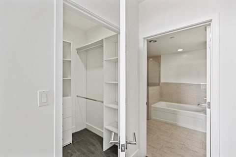 Walk-In Closet with Built-In Organizers