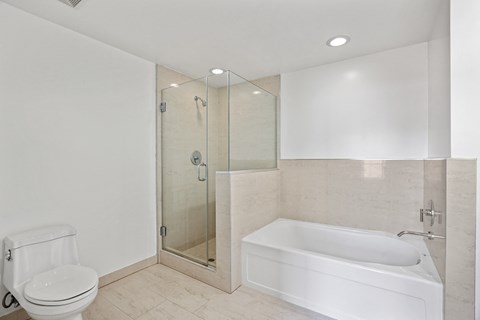 Large-Size Bathroom with Bathtub and Standup Shower