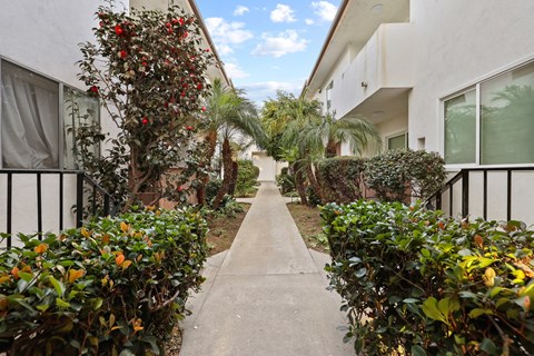 Apartment Courtyard with Floral Landscaping