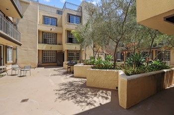 Rose Flower Courtyard Area West LA Rose Flower by Wiseman Courtyard - Photo Gallery 4