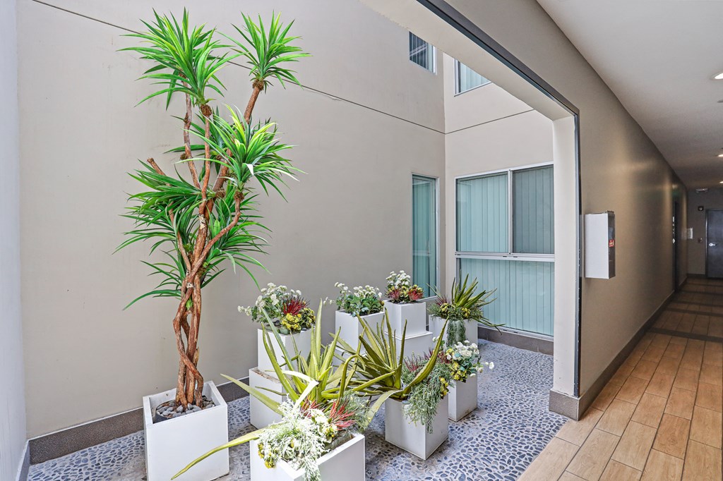 Courtyard of Barry Hill by Wiseman