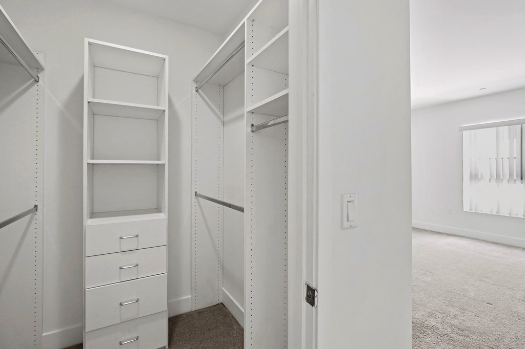 Bedroom with Window and Walk-In Closet with Built-In Organization System