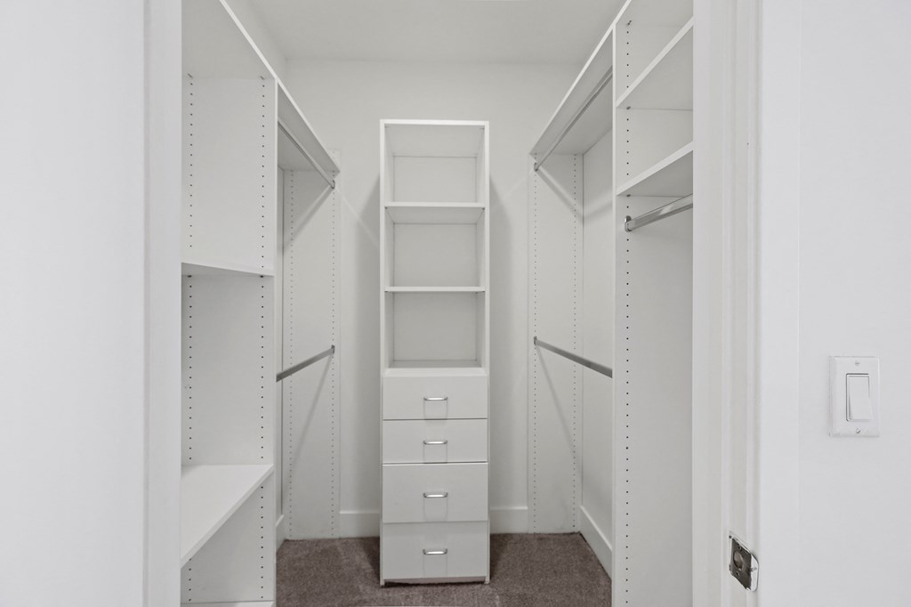 Full-Size Closet with Built-In Organization System