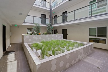 Interior Courtyard of Sunset Rise by Wiseman - Photo Gallery 3