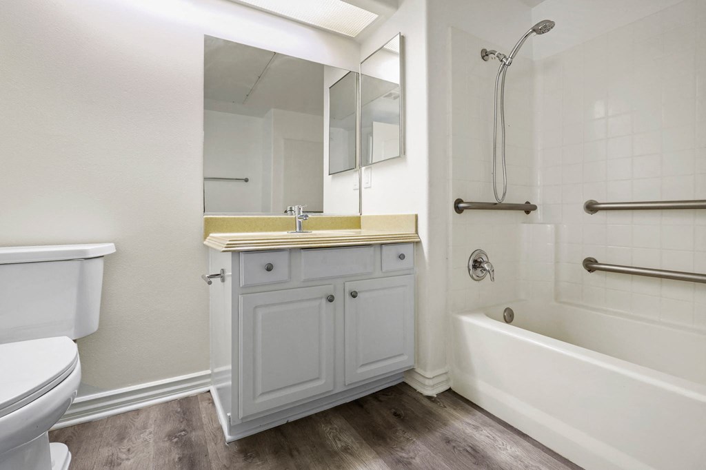 Large Handicap Accessible Bathroom with Full-Size Bathtub
