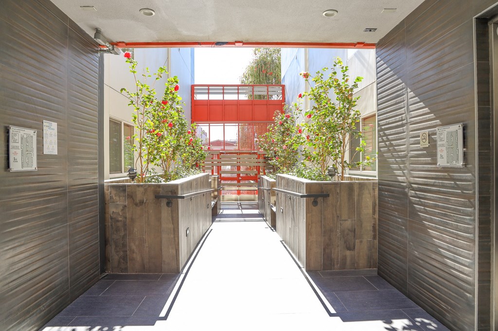Courtyard View of Front Entrance