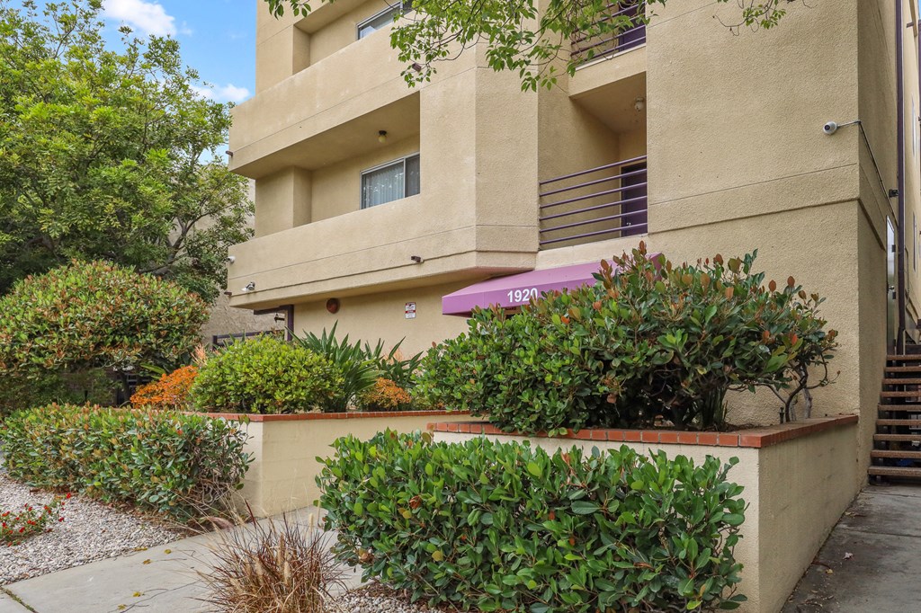 Back View of Overland Century by Wiseman