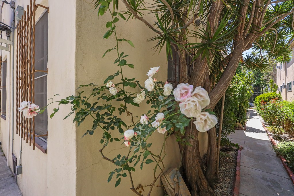 Exterior Property of Blackburn Grove by Wiseman