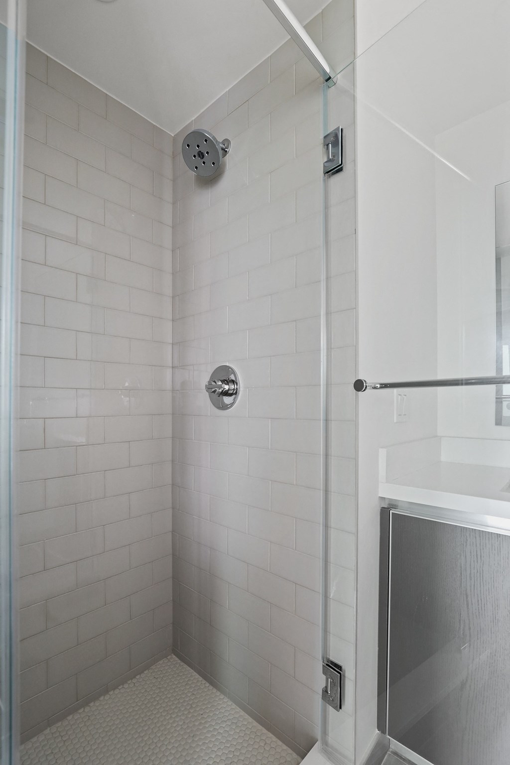 Walk-In Shower with Glass Door