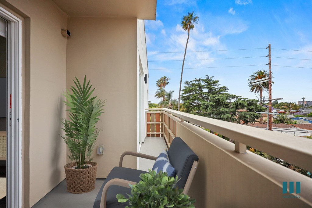 A balcony with a chair and a plant on it.