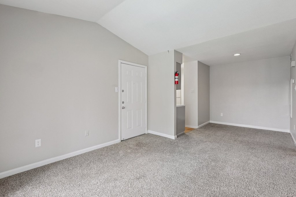 A room with a white door and carpeted floor.