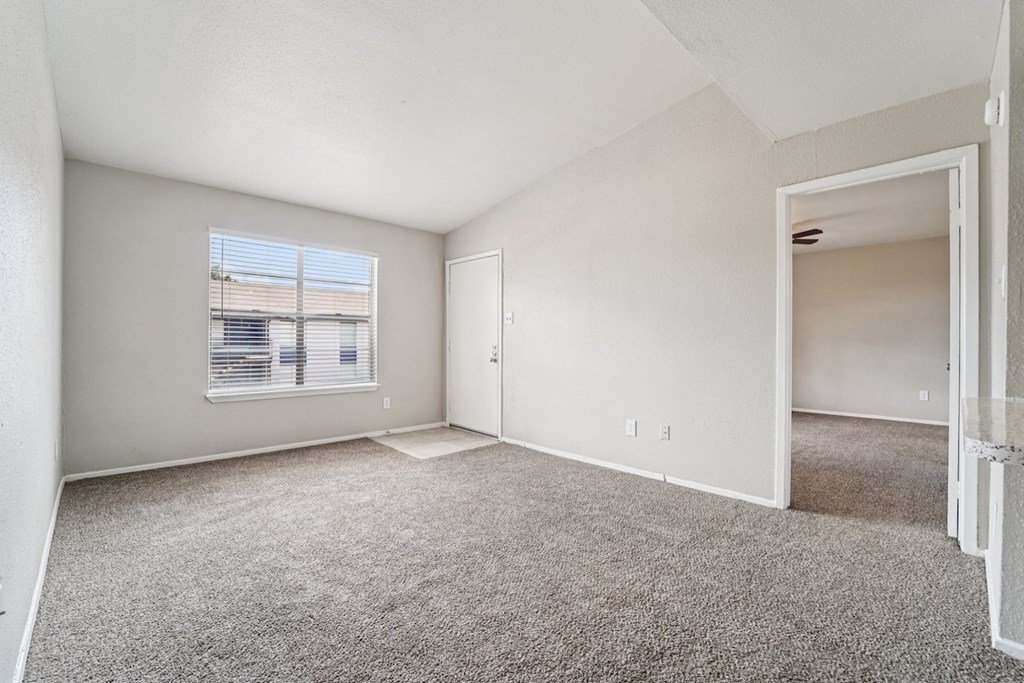 A spacious room with a carpeted floor and a window with blinds.
