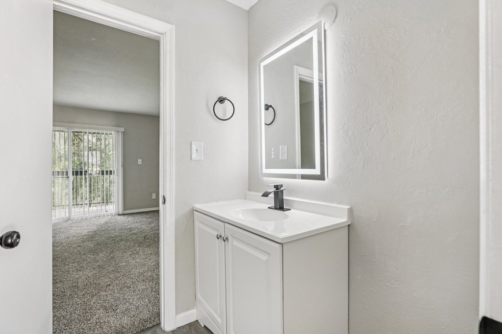 A bathroom with a white sink and a mirror.