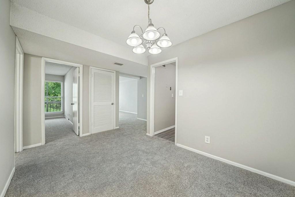 Master Carpeting at Hills at Hoover Apartments, Hoover, 35216