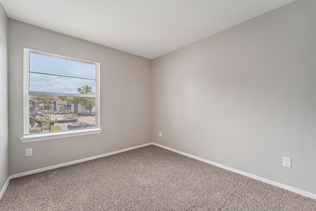 A room with a carpeted floor and a window showing an outdoor view.
