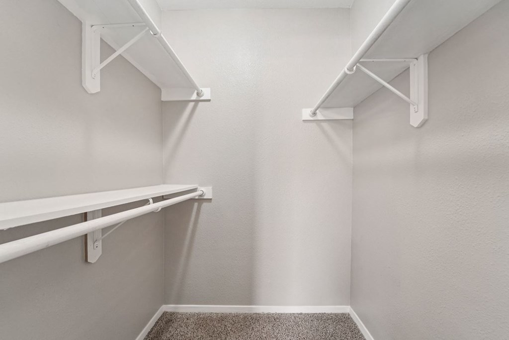 A white closet with shelves and a carpeted floor.