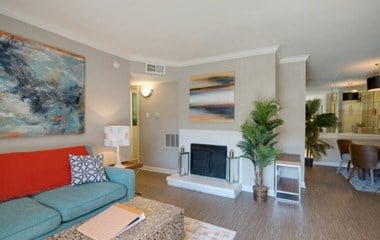 2909 Hayes Rd 1 Bed Apartment for Rent Photo Gallery 1