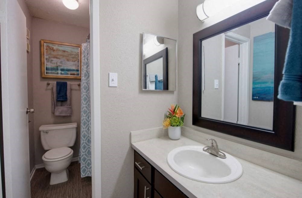 a bathroom with a sink and a toilet and a mirror