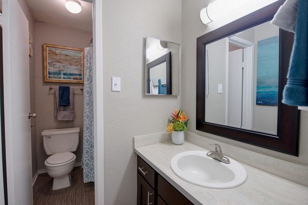 a large bathroom with a sink vanity, mirror with illumination and a water closet with toilet and tub/shower